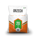 Orzech II Marcel.png